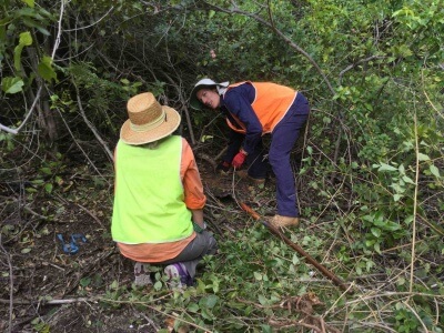 Naturschutz-Freiwilligenprogramm in Neuseeland