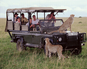 1N/2 dias Masai Mara se juntando ao Safari