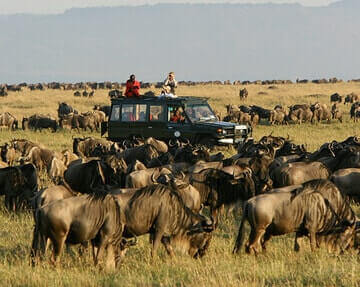 2N/3 dias Masai Mara juntando-se ao Safari