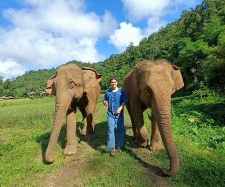 Freiwilligenarbeit mit Elefanten in Thailand - Chiang Mai