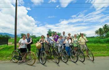 Cycling along the rice fields in Cambodia