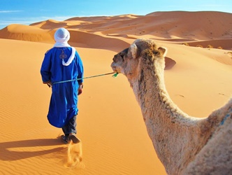 Marokko-Wüste