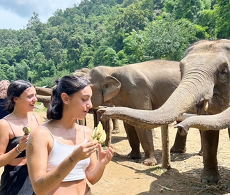 Volunteers with Elephants in Chiang Mai, Thailand