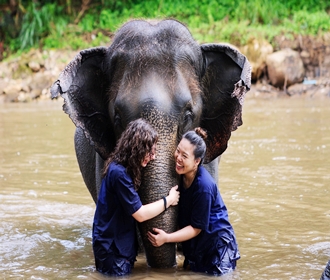 Volunteering in Elephant Sanctuary in Chiang Mai