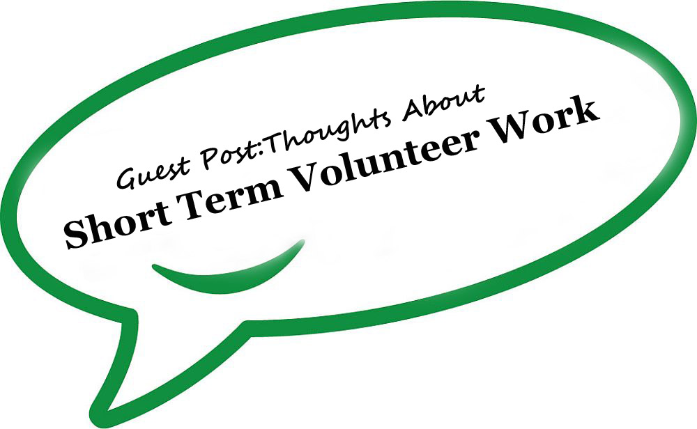 Guest Post Volunteering Experience