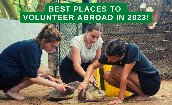 Best Places to Volunteer Abroad in 2023 – 2024